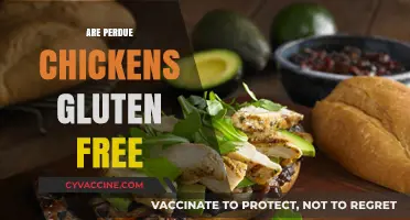 Are Perdue Chickens Gluten-Free? A Comprehensive Guide for Consumers