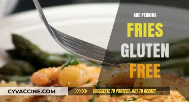 Are Perkins Fries Gluten-Free? A Complete Guide for Celiac Diners