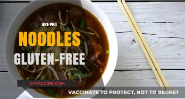 Are Pho Noodles Gluten-Free? A Clear Answer for Celiac Eaters