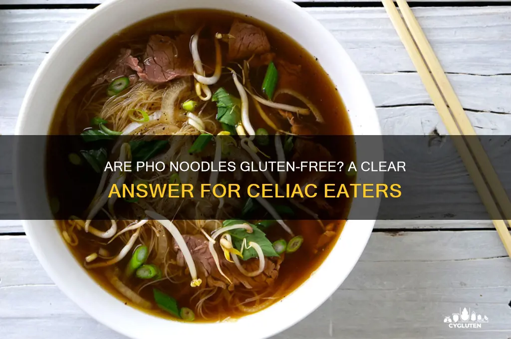 are pho noodles gluten-free