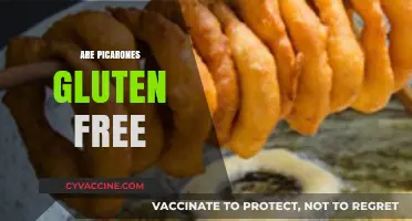 Are Picarones Gluten-Free? A Sweet Peruvian Treat Explored