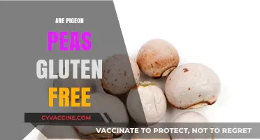 Are Pigeon Peas Gluten-Free? A Nutritional Breakdown and Benefits
