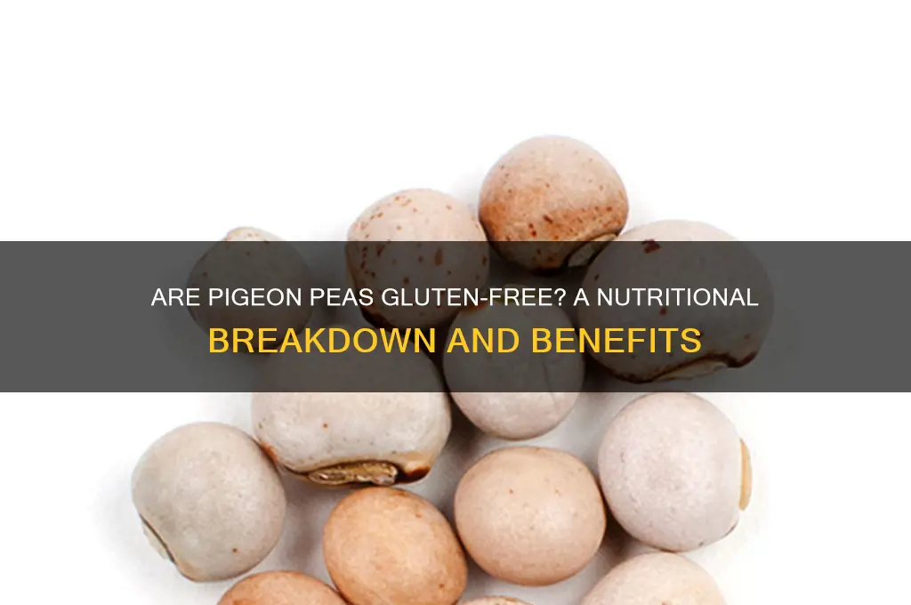 are pigeon peas gluten free