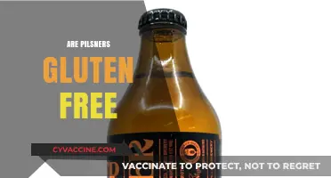 Are Pilsners Gluten-Free? Exploring Beer Options for Celiac Diets