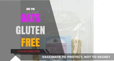 Are Pin Oats Gluten-Free? Unraveling the Truth for Celiac Diets