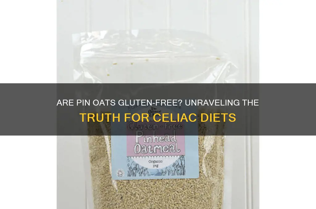 are pin oats gluten free