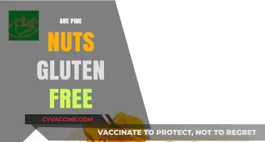 Are Pine Nuts Gluten-Free? A Nutritional Guide for Celiacs