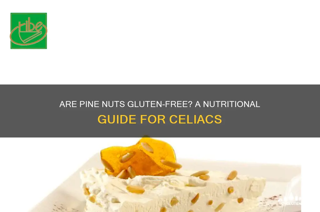 are pine nuts gluten free
