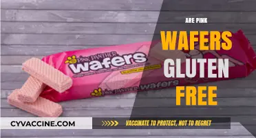 Are Pink Wafers Gluten-Free? A Complete Guide for Snack Lovers