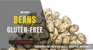 Are Pinto Beans Gluten-Free? A Clear Answer for Your Diet