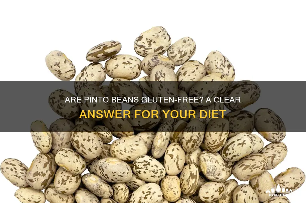 are pinto beans gluten-free