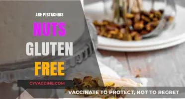 Are Pistachios Gluten-Free? Uncovering the Truth for Celiac Diets