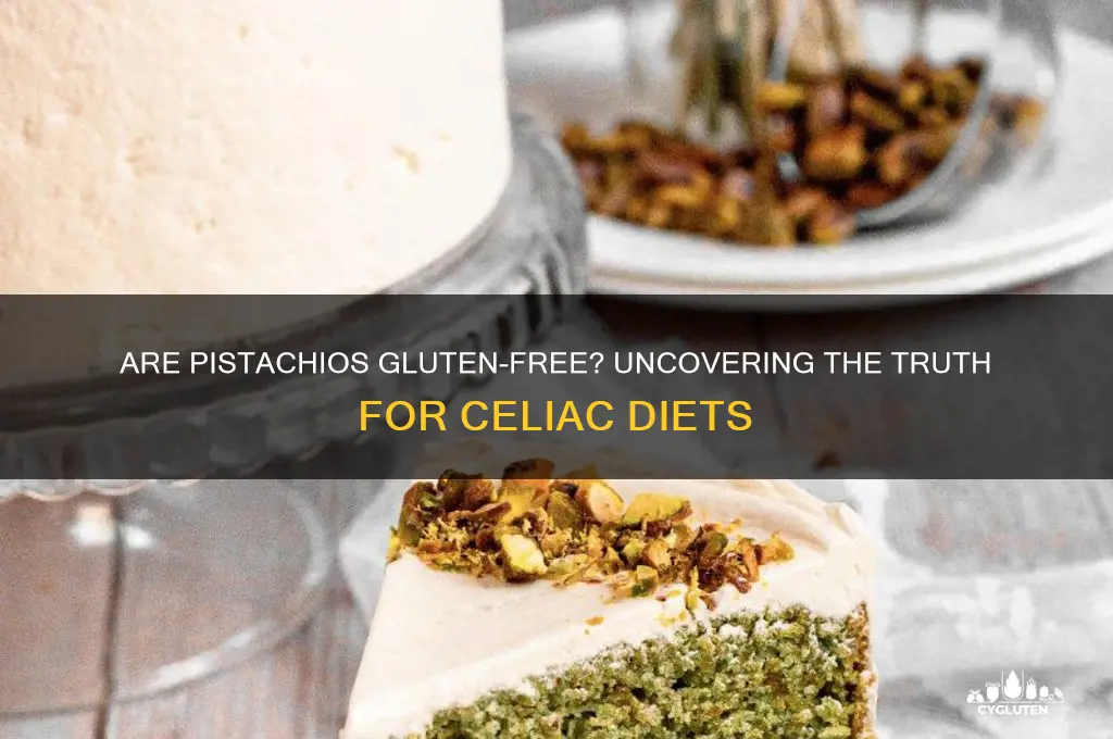 are pistachios nuts gluten free