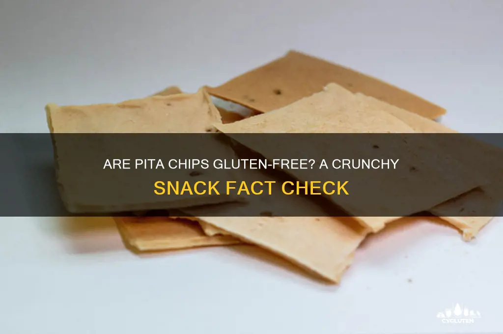 are pita chips gluten-free