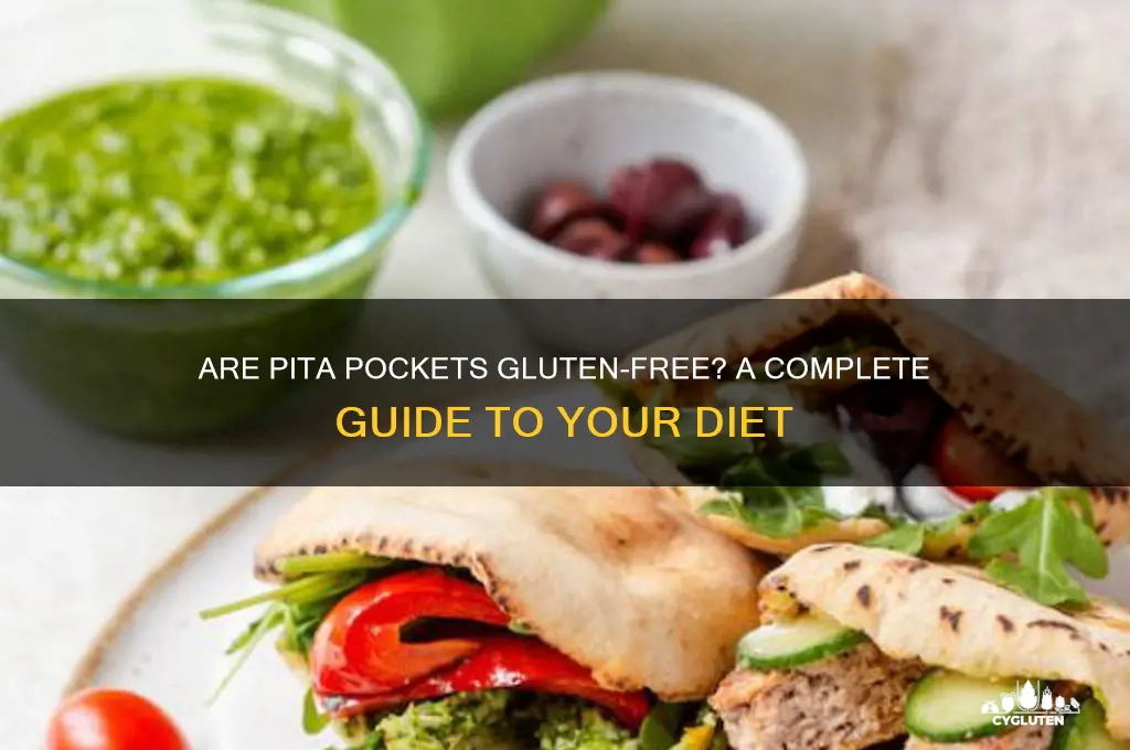 are pita pockets gluten free
