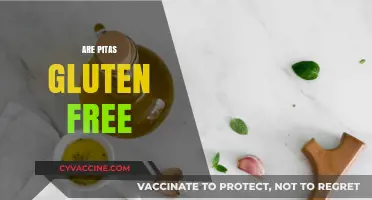 Are Pitas Gluten-Free? Understanding Ingredients and Alternatives