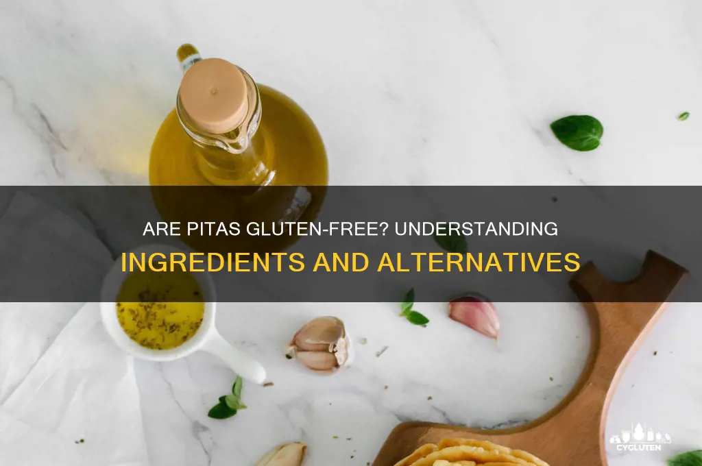are pitas gluten free