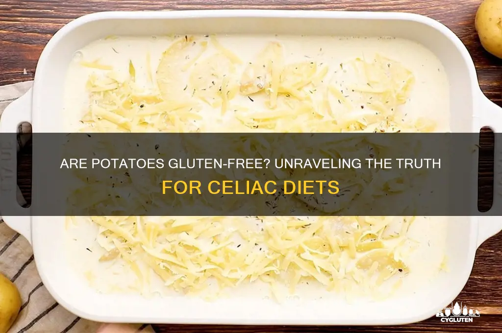 are pitatoes gluten free