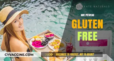 Are Pitayas Gluten-Free? Exploring the Dragon Fruit's Dietary Benefits