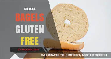 Are Plain Bagels Gluten-Free? A Clear Answer for Celiac Sufferers