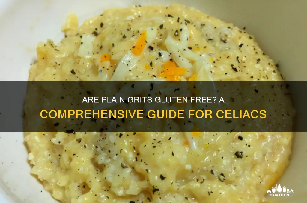 are plain grits gluten free