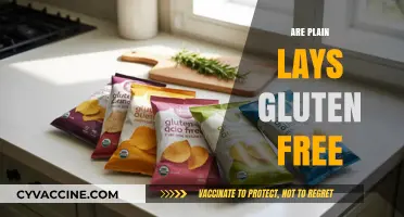 Are Plain Lays Gluten Free? A Crunchy Snack Fact Check