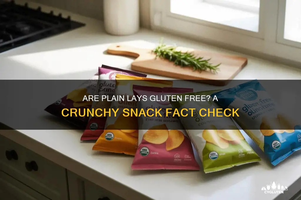 are plain lays gluten free
