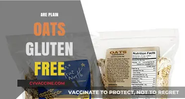Are Plain Oats Gluten-Free? Unraveling the Truth for Celiacs