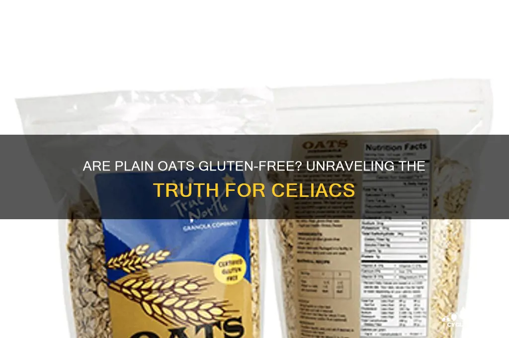 are plain oats gluten free