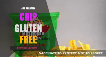 Are Plantain Chips Gluten-Free? A Crunchy Snack Guide