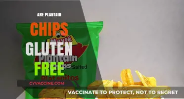 Are Plantain Chips Gluten-Free? A Crunchy Snack Guide