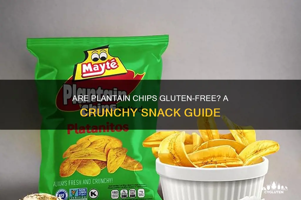 are plantain chips gluten free