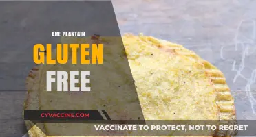 Are Plantains Gluten-Free? A Comprehensive Guide for Celiac Diets