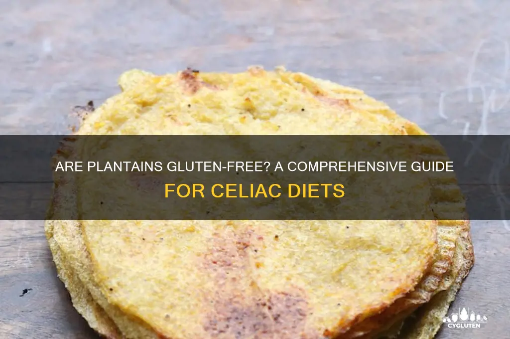 are plantain gluten free