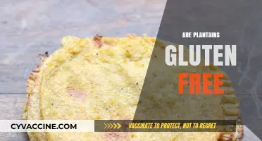 Are Plantains Gluten-Free? A Comprehensive Guide for Celiac Diets