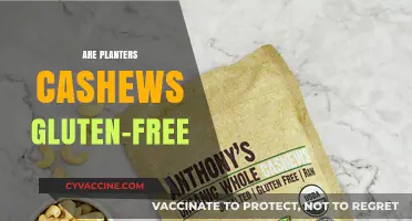 Are Planters Cashews Gluten-Free? A Nut Lover's Guide