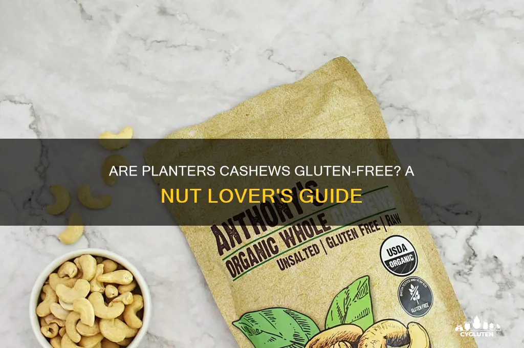 are planters cashews gluten-free