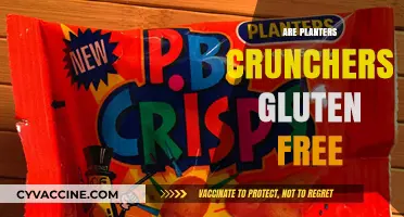 Are Planters Crunchers Gluten-Free? A Snack Lover's Guide