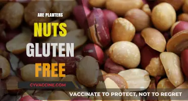 Are Planters Nuts Gluten-Free? A Comprehensive Guide for Snackers