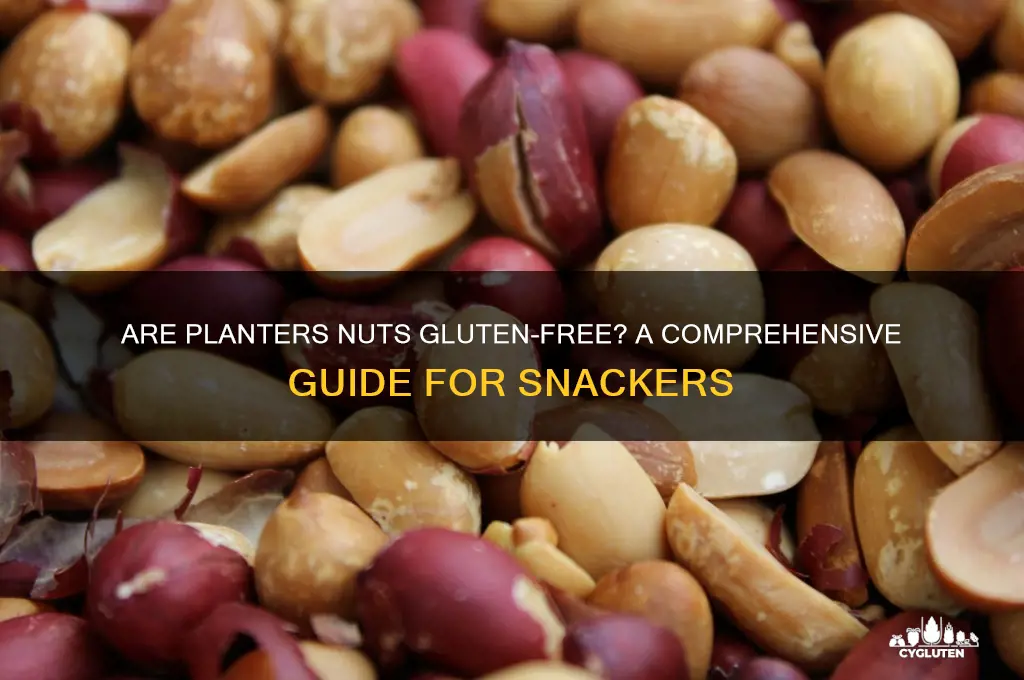 are planters nuts gluten free
