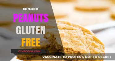 Are Planters Peanuts Gluten-Free? A Nut Lover's Guide