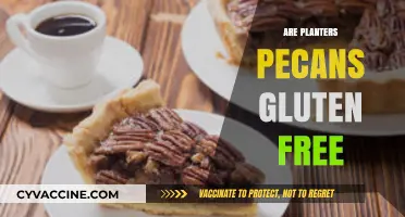 Are Planters Pecans Gluten-Free? A Nutritional Breakdown