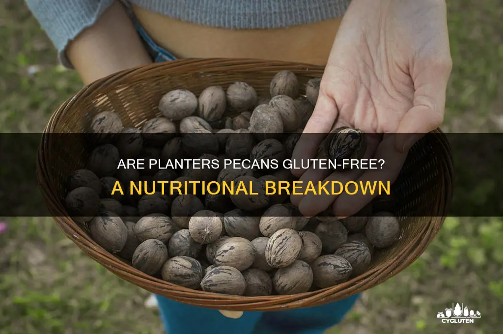 are planters pecans gluten free