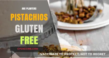 Are Planters Pistachios Gluten-Free? A Nut Lover's Guide