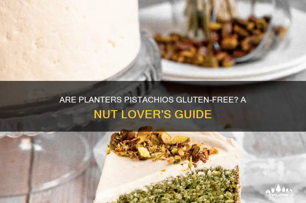 are planters pistachios gluten free