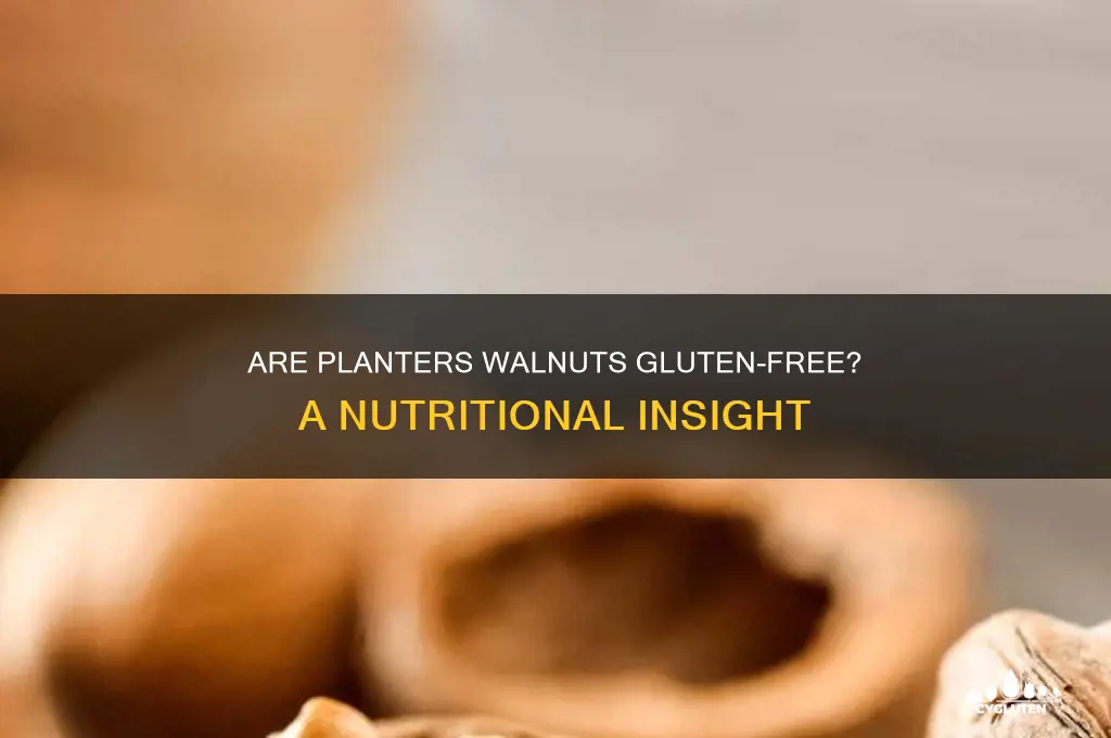 are planters walnuts gluten free