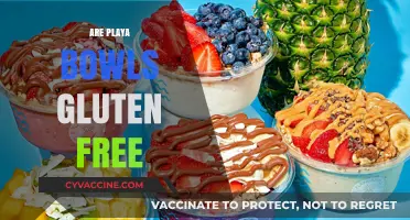 Are Playa Bowls Gluten-Free? A Complete Guide to Safe Options