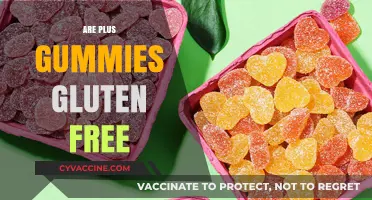 Are Plus Gummies Gluten-Free? A Comprehensive Guide for Dietary Needs