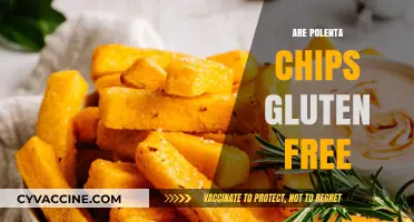 Are Polenta Chips Gluten-Free? A Crunchy Snack Guide