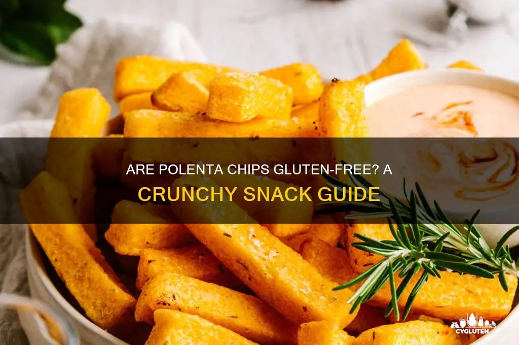 are polenta chips gluten free
